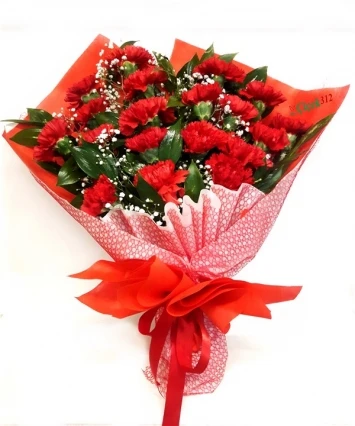 19 ADET KARANFİL