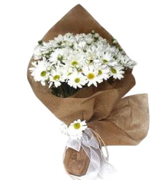 Masum Beyaz Papatya Buketi